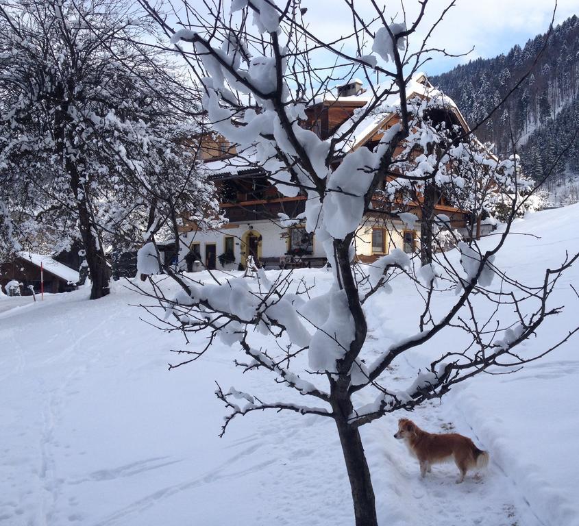 Вилла Haus Maria Арнольдштайн Номер фото